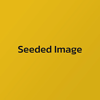Team Member Page
