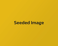 blanditiis molestiae cupiditate